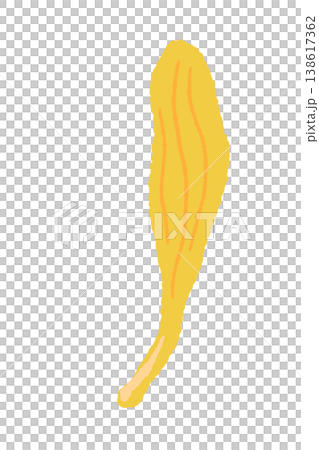 A single illustration of a curved yellow calendula petal. A single illustration of a curved yellow calendula petal. 138617362