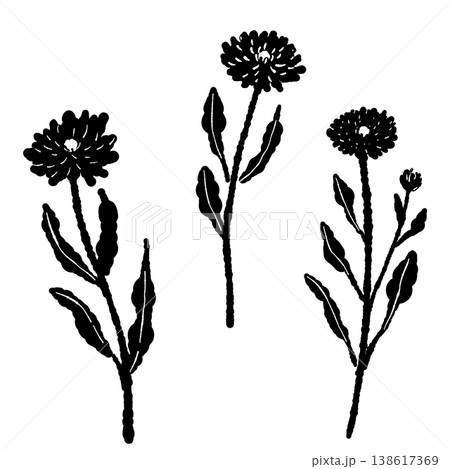 カレンデュラの茎と葉が付いた3輪の花のモノクロシルエットイラストセット 138617369