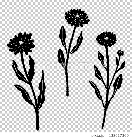 カレンデュラの茎と葉が付いた3輪の花のモノクロシルエットイラストセット 138617369