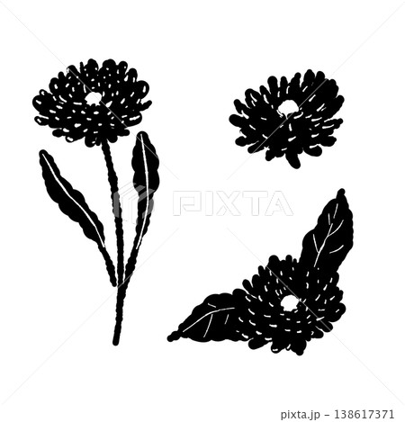 カレンデュラの花、葉、茎のバリエーションセットモノクロシルエットイラスト 138617371