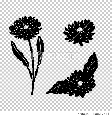 カレンデュラの花、葉、茎のバリエーションセットモノクロシルエットイラスト 138617371