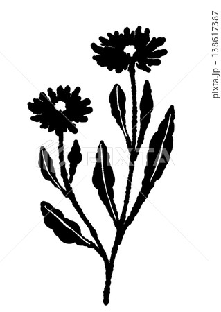 カレンデュラの2輪の花と茎が付いたペアモノクロシルエットイラスト 138617387