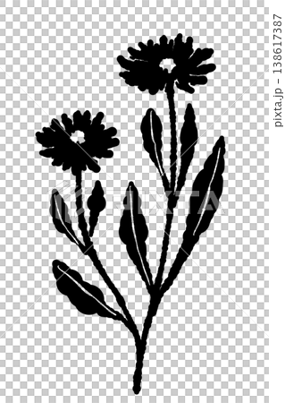 カレンデュラの2輪の花と茎が付いたペアモノクロシルエットイラスト 138617387