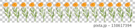 カレンデュラの花と蕾が並ぶ横長ボーダーイラスト素材 138617394
