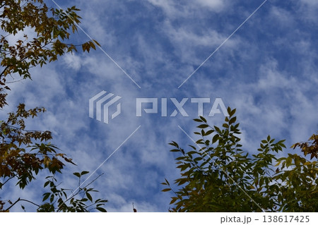 秋の空と紅葉 138617425
