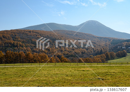 紅葉した森と草原 蓼科牧場と蓼科山 紅葉した森と草原 蓼科牧場と蓼科山 138617607