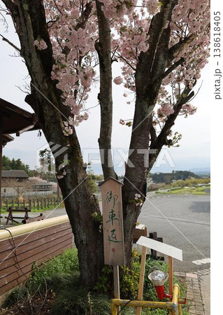 桜のある風景・八高線明覚駅の御車返の桜 138618405