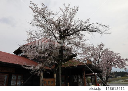 満開の桜のある風景・埼玉県明覚駅 138618411