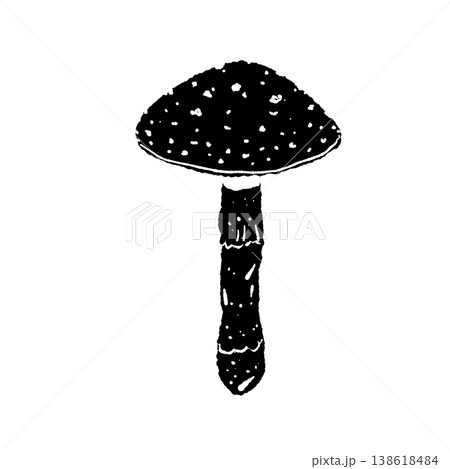 ベニテングダケ（単体・正面）のモノクロ手描きイラスト素材 138618484