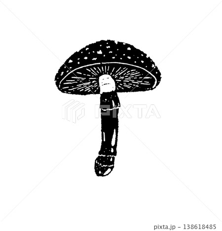 ベニテングダケ(単体・裏側・ヒダ)のモノクロ手描きイラスト素材 ベニテングダケ(単体・裏側・ヒダ)のモノクロ手描きイラスト素材 138618485