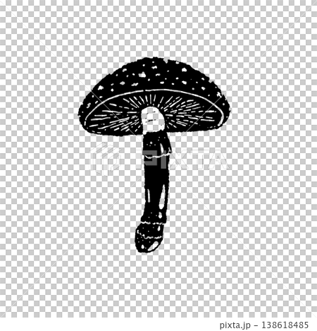 Black and white hand-drawn illustration material of Amanita muscaria (single mushroom, underside, gills) Black and white hand-drawn illustration material of Amanita muscaria (single mushroom, underside, gills) 138618485