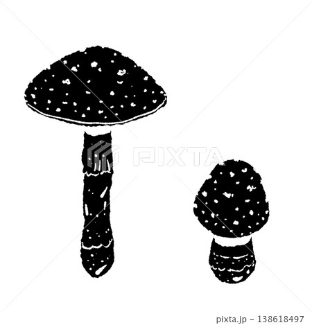 Two Fly Agaric Mushrooms Pair Variation 2 138618497