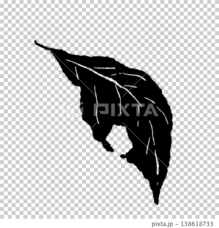 ハロウィンモノクロ枯葉イラスト単体大きな穴あきシルエット素材 138618733