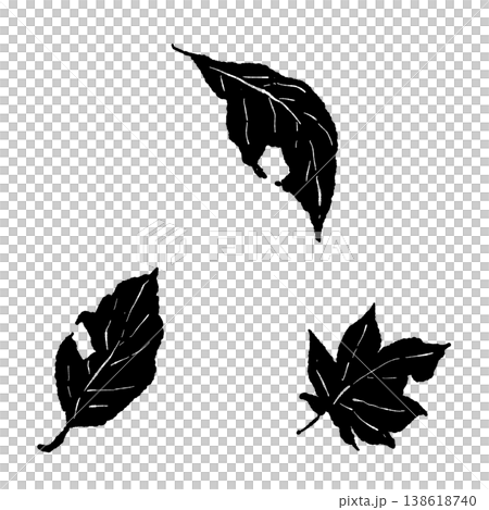 Halloween monochrome illustration of fallen leaves: A set of silhouettes of scattered ginkgo and maple leaves. 138618740