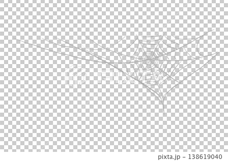 一張纖細的蜘蛛網圖案,可放置在萬聖節設計的左上角。 一張纖細的蜘蛛網圖案,可放置在萬聖節設計的左上角。 138619040