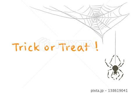 ハロウィンTrick or Treat文字とリアルな蜘蛛と巣の横向きメッセージカード 138619041