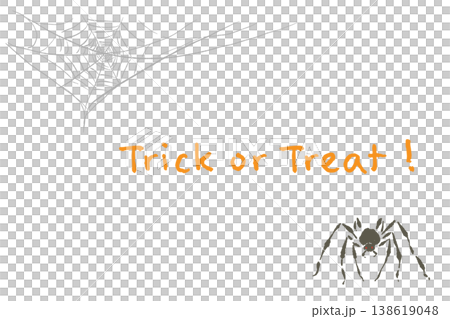 ハロウィンTrick or Treat文字とリアルな蜘蛛と巣の不気味な横型カード ハロウィンTrick or Treat文字とリアルな蜘蛛と巣の不気味な横型カード 138619048