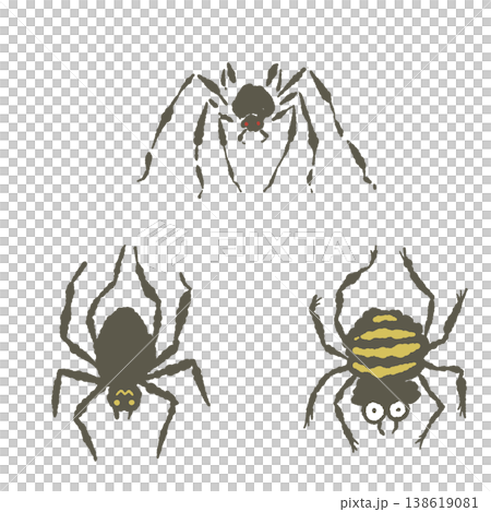 一組三款不同的蜘蛛插圖,可用於萬聖節裝飾。 一組三款不同的蜘蛛插圖,可用於萬聖節裝飾。 138619081