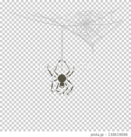 萬聖節插圖:一隻蜘蛛用絲線懸掛在蜘蛛網上。 萬聖節插圖:一隻蜘蛛用絲線懸掛在蜘蛛網上。 138619086