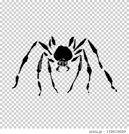 A realistic silhouette of a long-legged black spider that can be used for Halloween decorations. A realistic silhouette of a long-legged black spider that can be used for Halloween decorations. 138619089