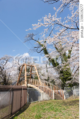桜のある風景　渋川市佐久発電所ふれあい広場 138619277