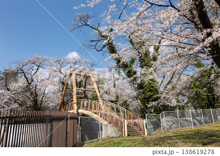 桜のある風景 渋川市佐久発電所ふれあい広場 桜のある風景 渋川市佐久発電所ふれあい広場 138619278