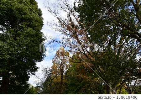 秋の空と紅葉 秋の空と紅葉 138619400