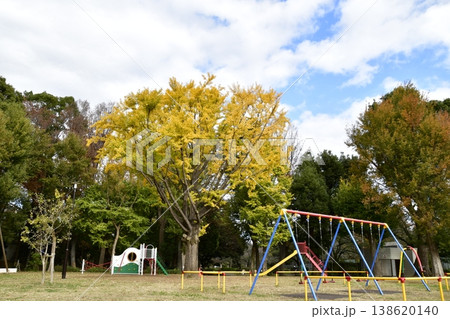 善福寺川公園　秋　広場の遊具 138620140