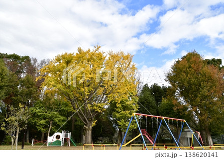 善福寺川公園　秋　広場の遊具 138620141