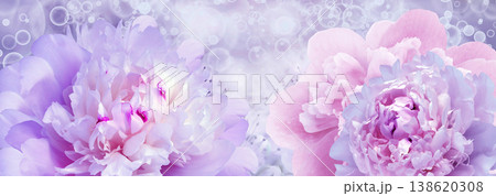 Peonies flowers. Floral spring background. Close-up. Nature. Peonies flowers. Floral spring background. Close-up. Nature. 138620308