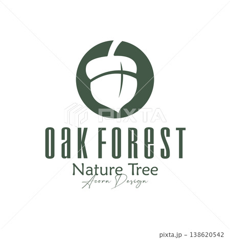Premium acorn logo elegant style for luxury natural brand identity Premium acorn logo elegant style for luxury natural brand identity 138620542