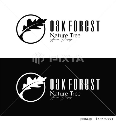 Premium Acorn Logo Luxury Natural Branding for Elegant Business Identity Premium Acorn Logo Luxury Natural Branding for Elegant Business Identity 138620554