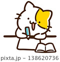 黒板を見ながら問題を解くかわいいねこのキャラクターのデフォルメイラスト 138620736