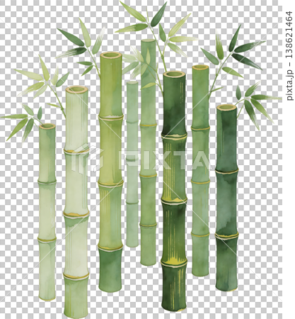 日式水彩插畫，描繪了綠色的竹子和樹葉。 138621464