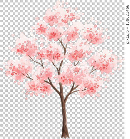 水彩で描かれた満開の桜の木 春の訪れを告げるピンクの花 水彩で描かれた満開の桜の木 春の訪れを告げるピンクの花 138621466