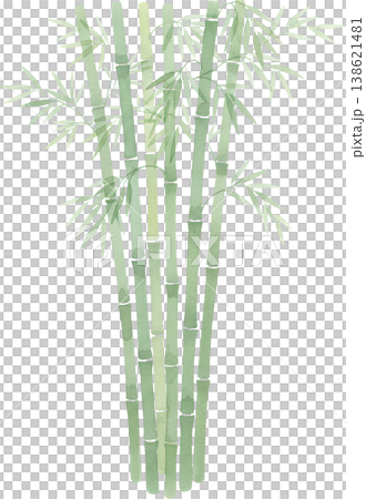 Japanese-style illustration background featuring watercolor paintings of bamboo and bamboo leaves. 138621481