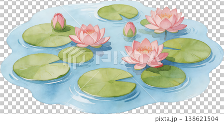 Watercolor illustration: Pink water lilies and green leaves blooming on the water's surface, a tranquil summer scene. Watercolor illustration: Pink water lilies and green leaves blooming on the water's surface, a tranquil summer scene. 138621504