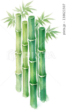 瑞々しい緑の竹と笹の水彩イラスト、和風デザイン素材 138621507