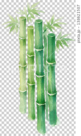 瑞々しい緑の竹と笹の水彩イラスト、和風デザイン素材 138621507