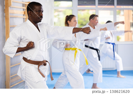 Group of multiethnic people training karate techniques Group of multiethnic people training karate techniques 138621620