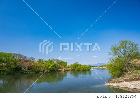 桂川風景　新緑の木々　京都市 138621854