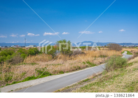 桂川風景　京都市 138621864