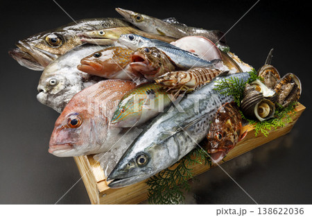 新鮮な鮮魚盛り合わせ 新鮮な鮮魚盛り合わせ 138622036