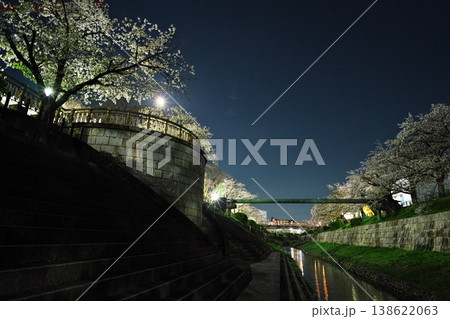 夜桜満開の山崎川 夜桜満開の山崎川 138622063