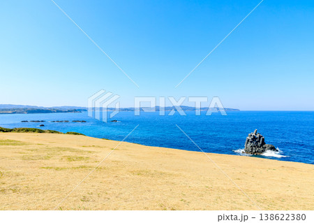春の左京鼻　長崎県壱岐市 138622380