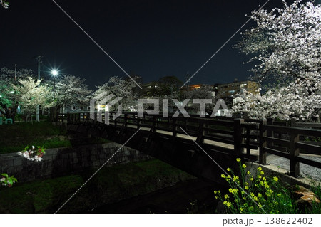 菜の花と夜桜満開の山崎川四季の道と木橋の鼎小橋 138622402