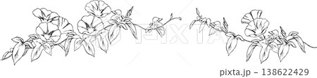 朝顔の線画イラスト2 朝顔の線画イラスト2 138622429