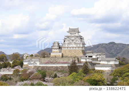 春満開の姫路城(兵庫県 姫路市) 春満開の姫路城(兵庫県 姫路市) 138622471
