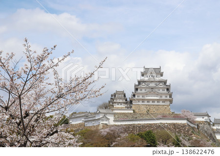 春満開の姫路城（兵庫県 姫路市） 138622476
