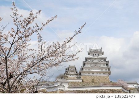 春満開の姫路城（兵庫県 姫路市） 138622477